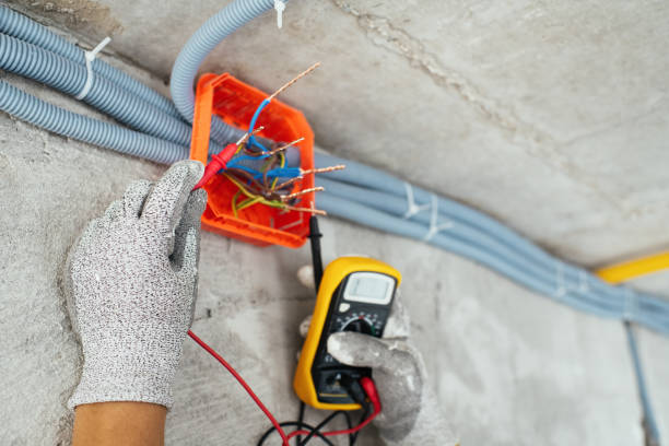 Best Electric Panel Repair  in Corrales, NM